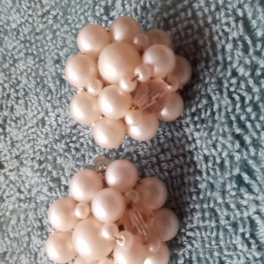 Clasps Earrings